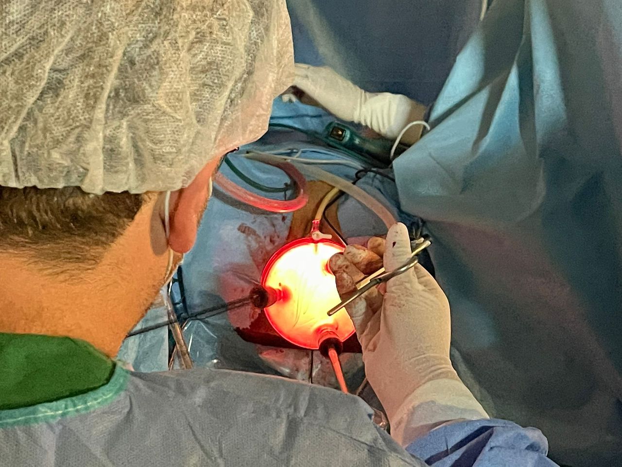 Francesco Paolo Improda-7