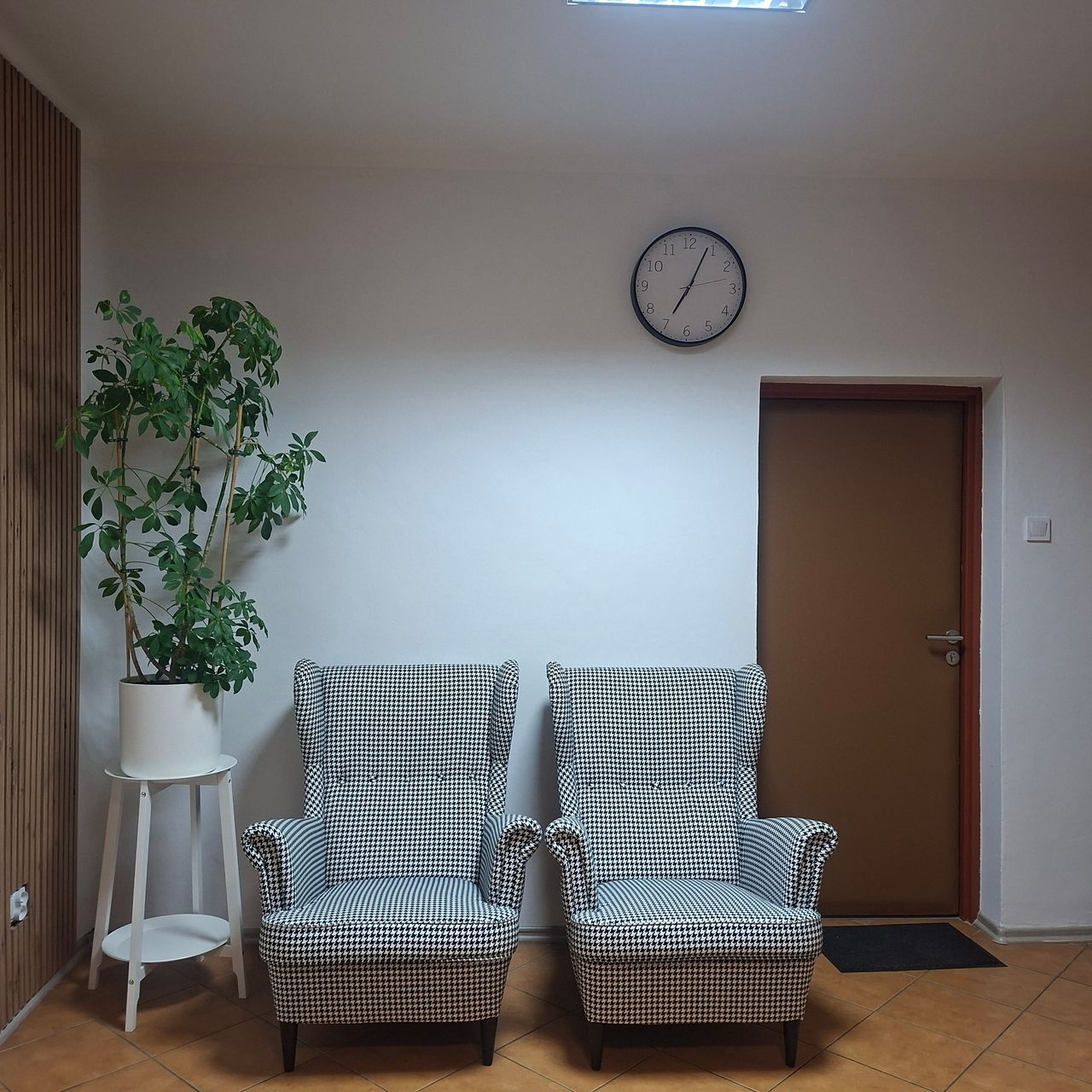 Wioletta Misterkiewicz-1