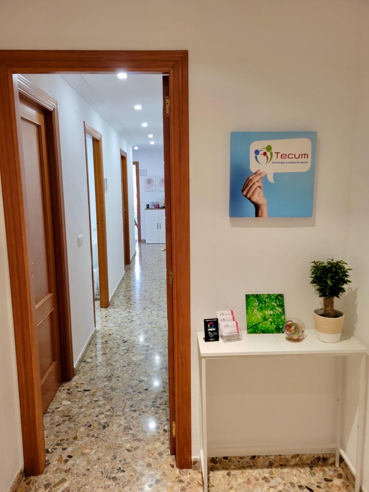 Carmina Llopis Chelet-5