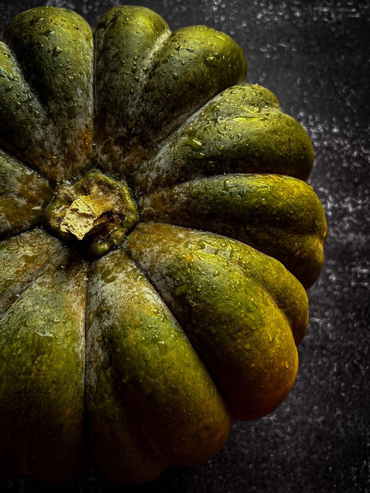 Agnieszka Grabarczyk-10