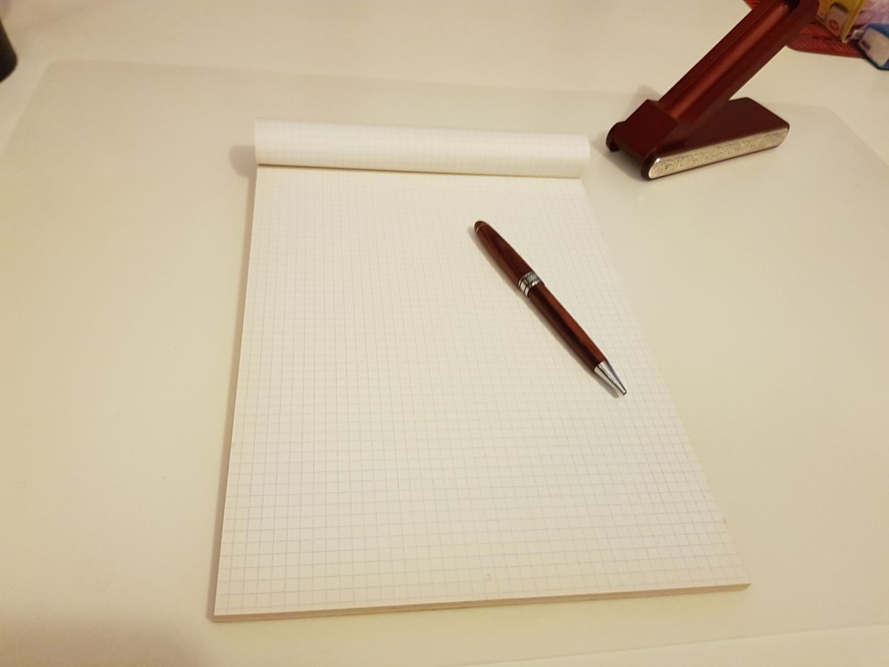 Verena Elisa Gomiero-14