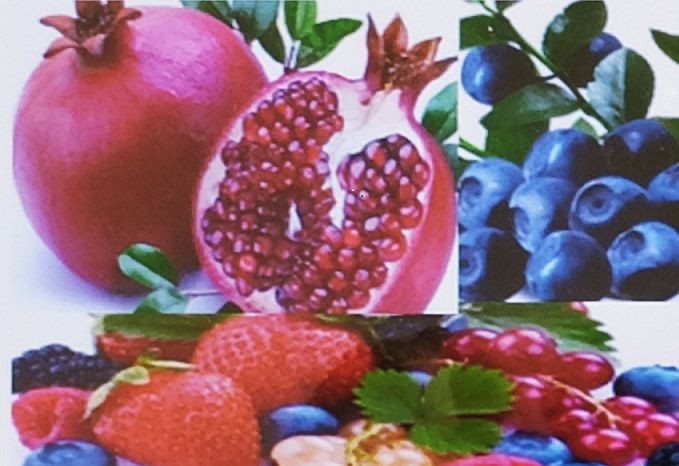 Murat Emin Güveli-3