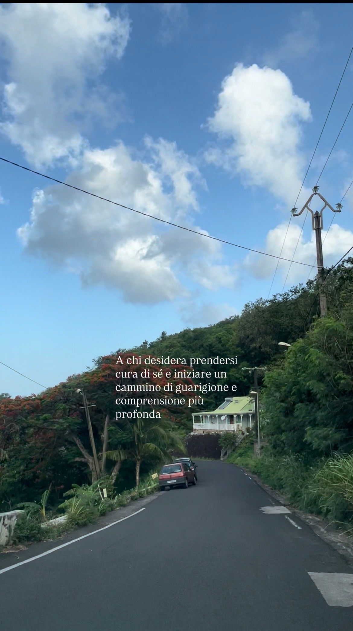 Stefania Tagliabue-7