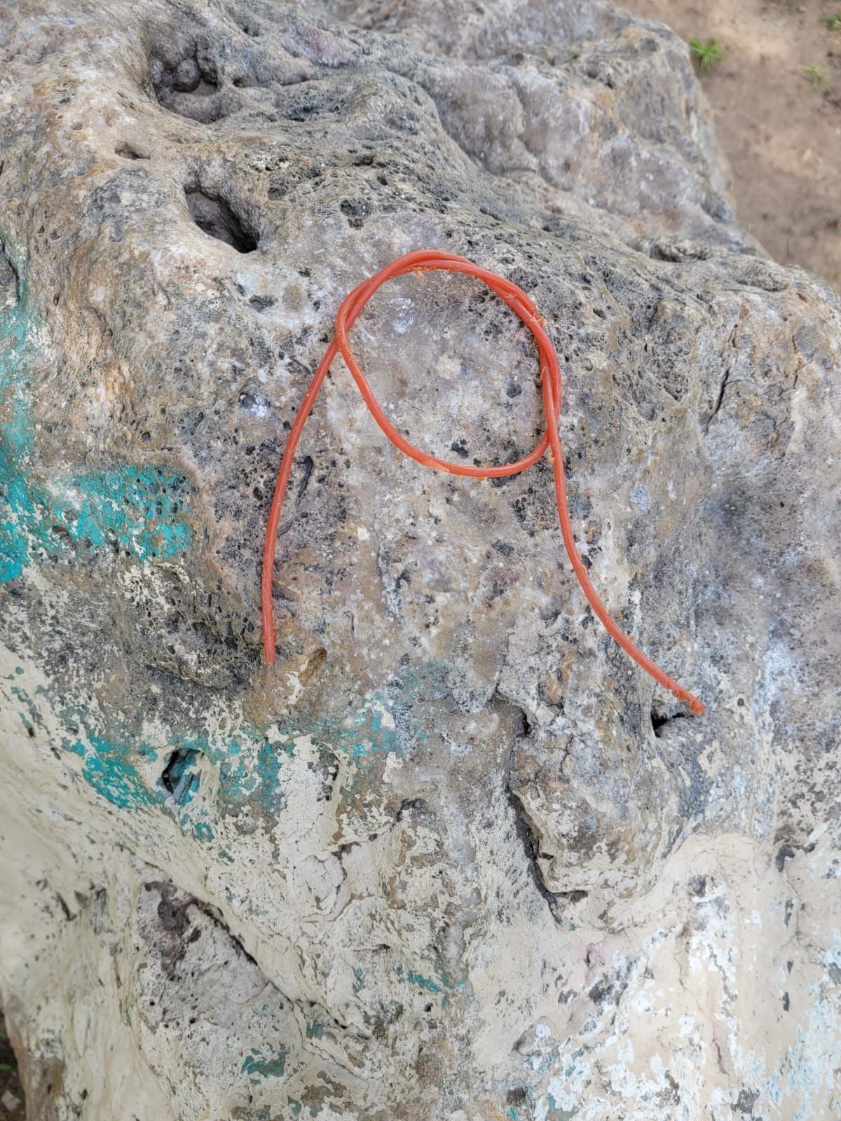 Kristina Ter-Kazarian-20