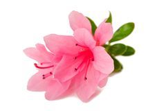 Eva Patrizia Talone-3