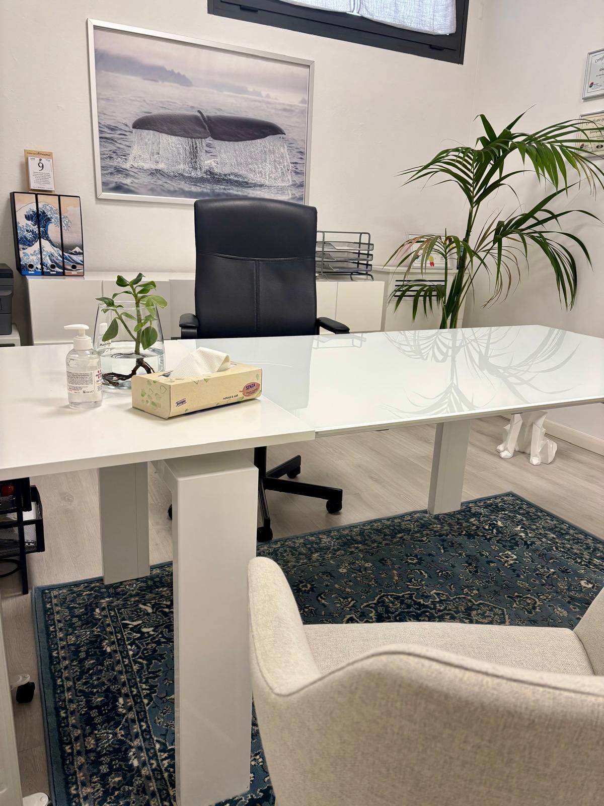 Laura Cotti Cometti-3