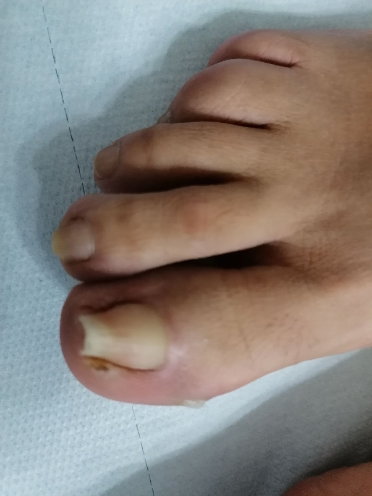 Kassandra Nicolosi-169