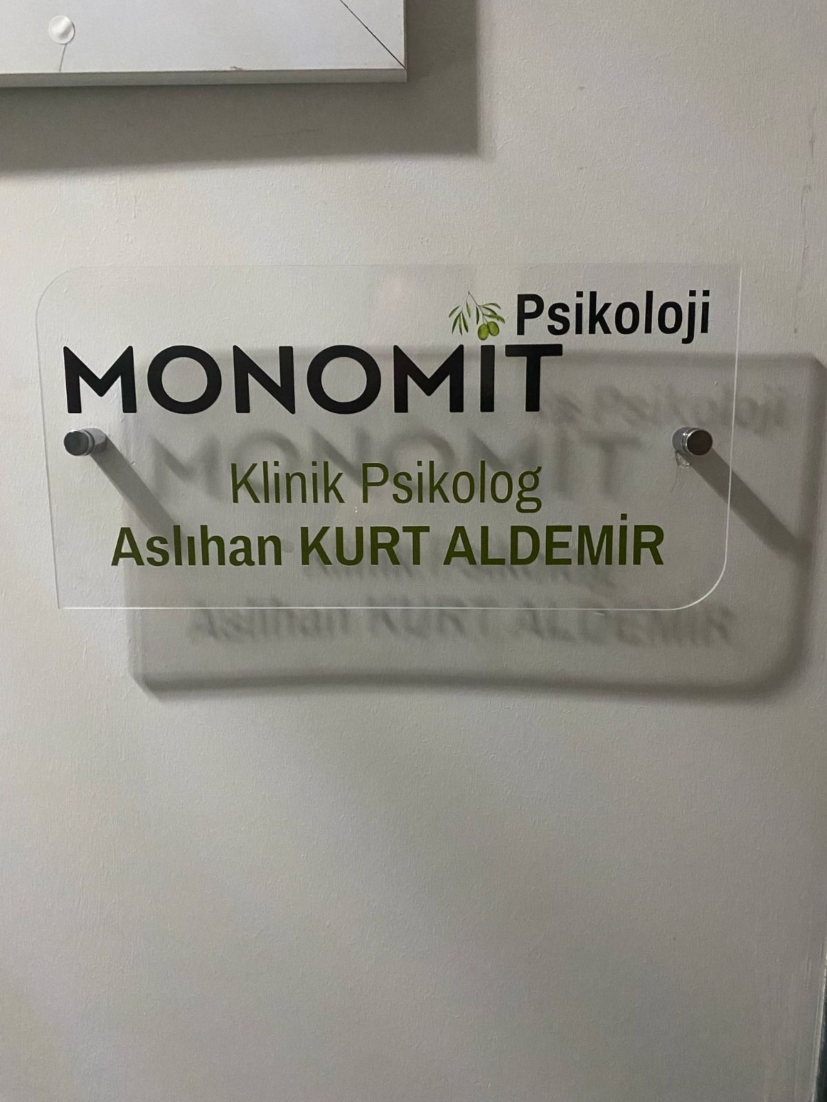 Aslıhan Kurt Aldemir-2