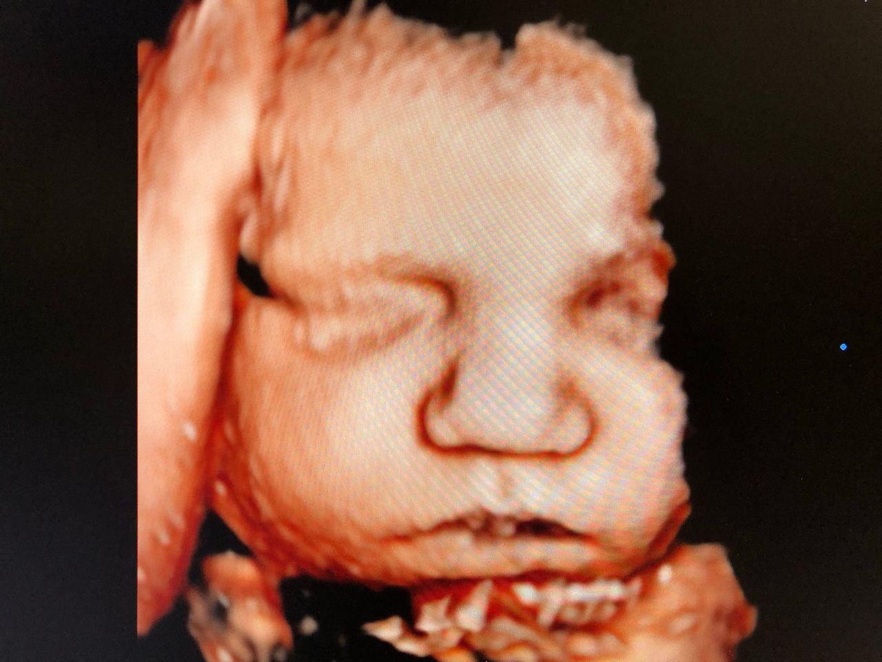 Mariella Amendolara-11