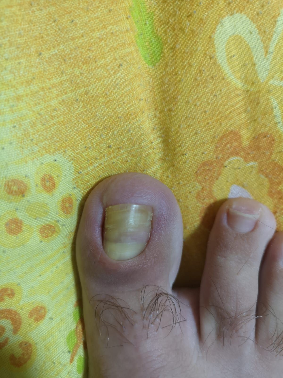 Kassandra Nicolosi-122