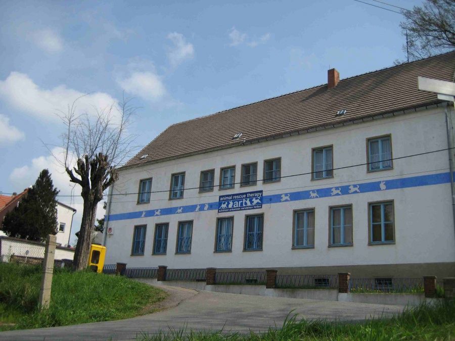 Alexander Engelhardt-0