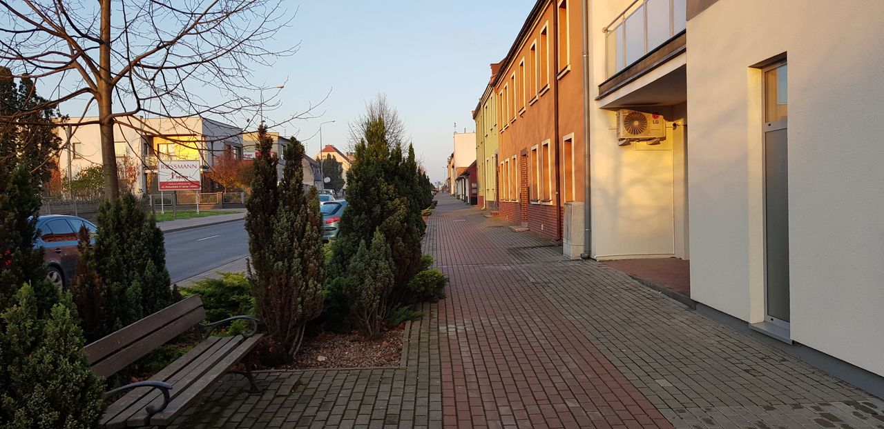 Maciej Witold Gołąb-6