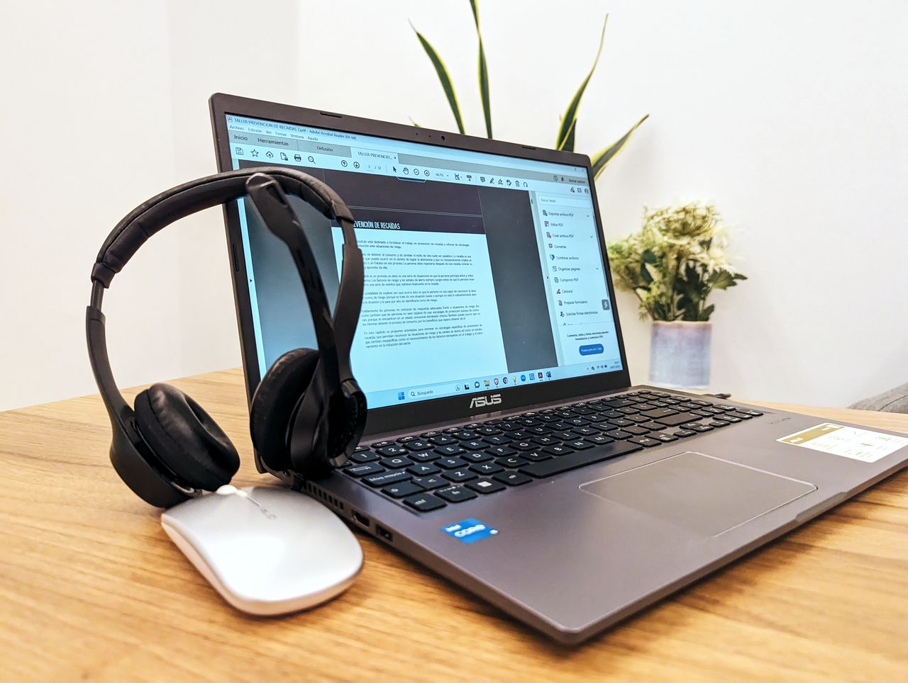 David Garisoain Alonso-6