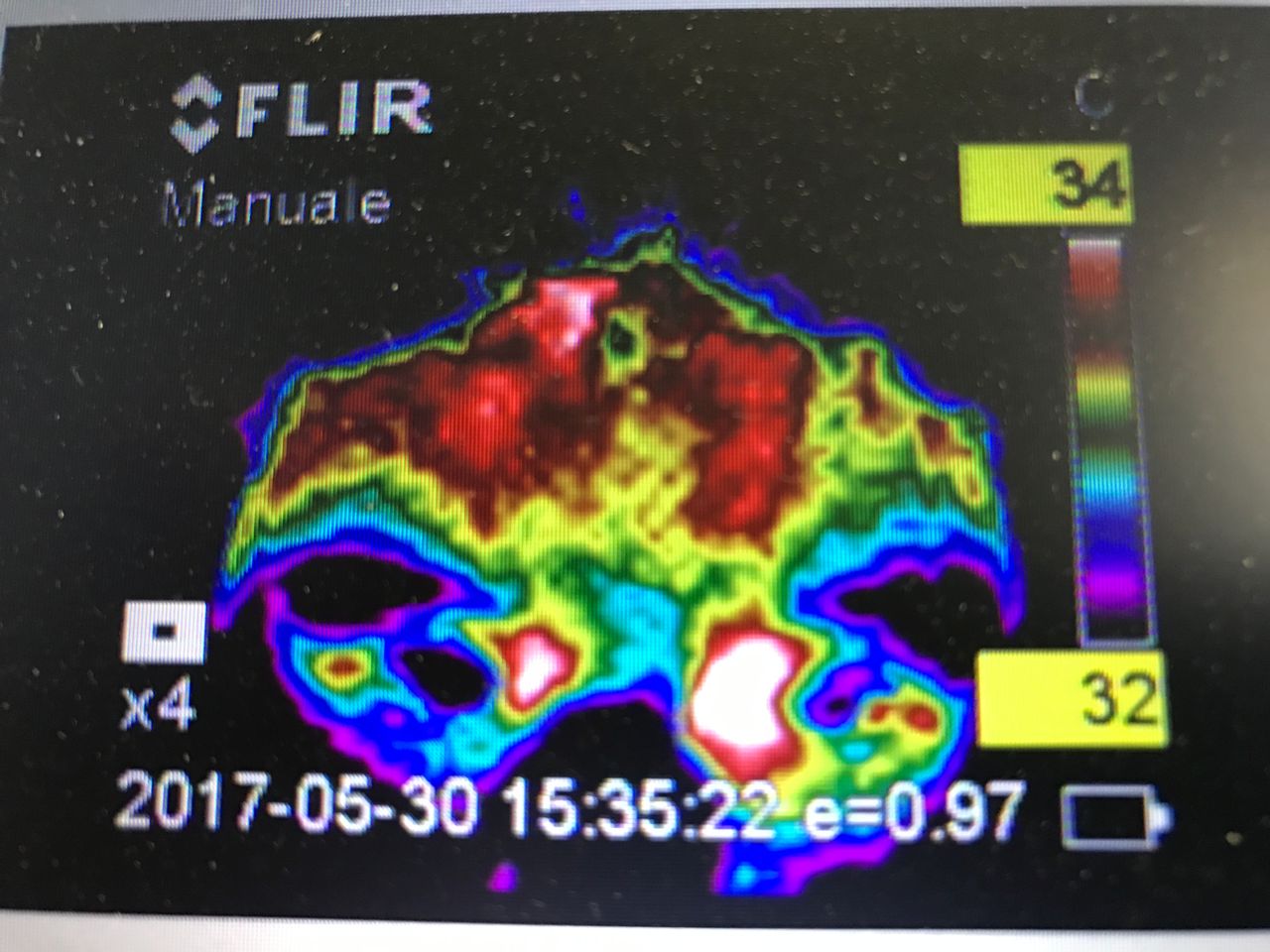 Giorgio Dalla Volta-2