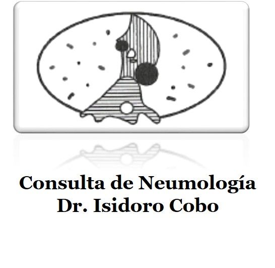 Isidoro Cobo Moreno-0