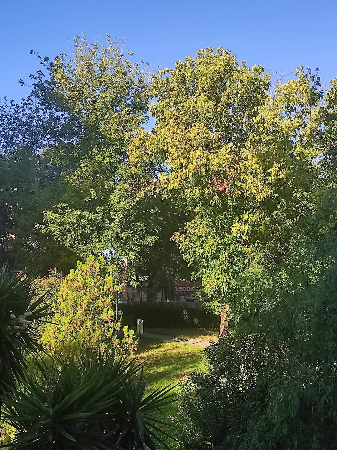 Michele Locuratolo-5