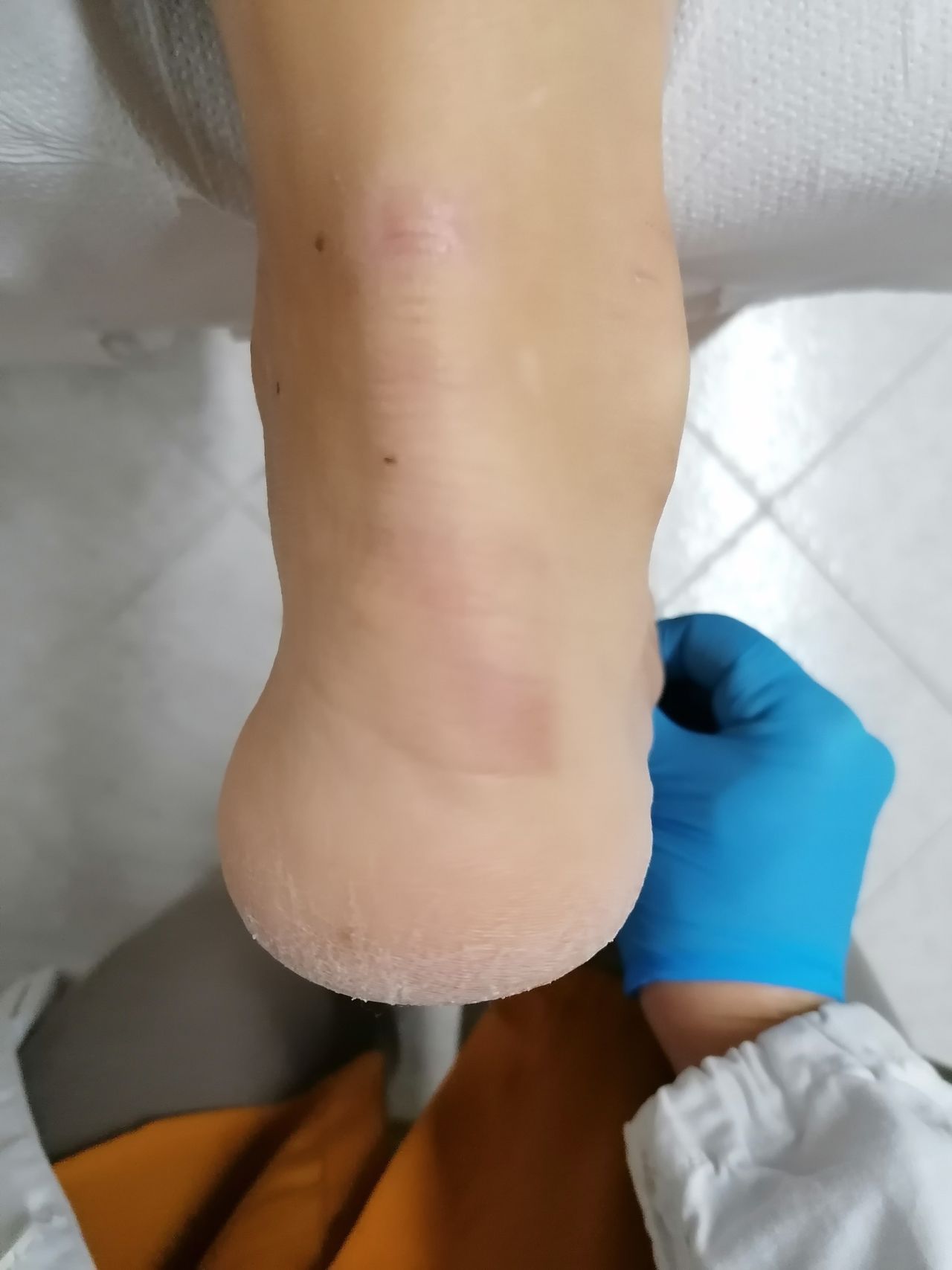 Kassandra Nicolosi-182