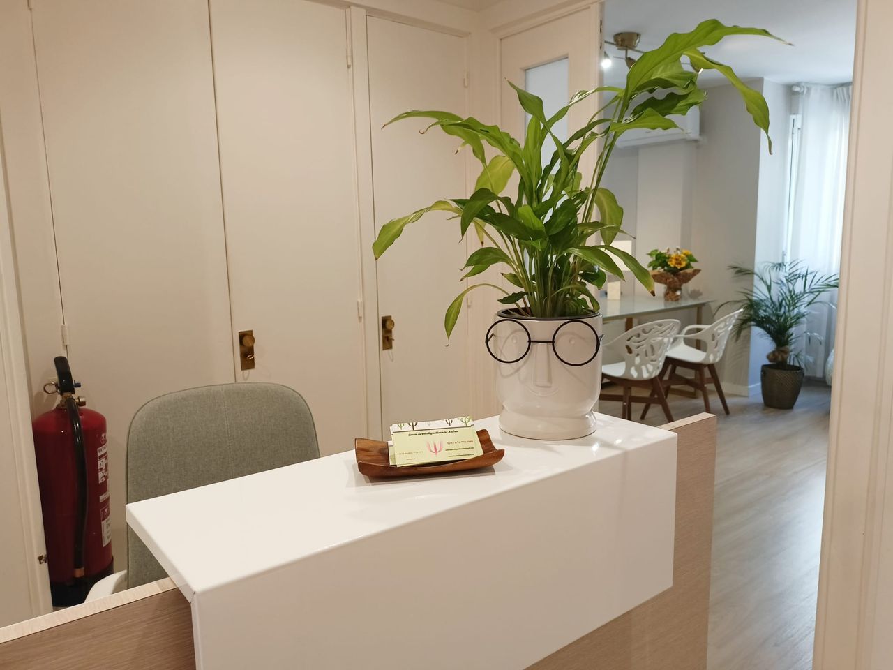 Mercedes Andreu Bielsa-2