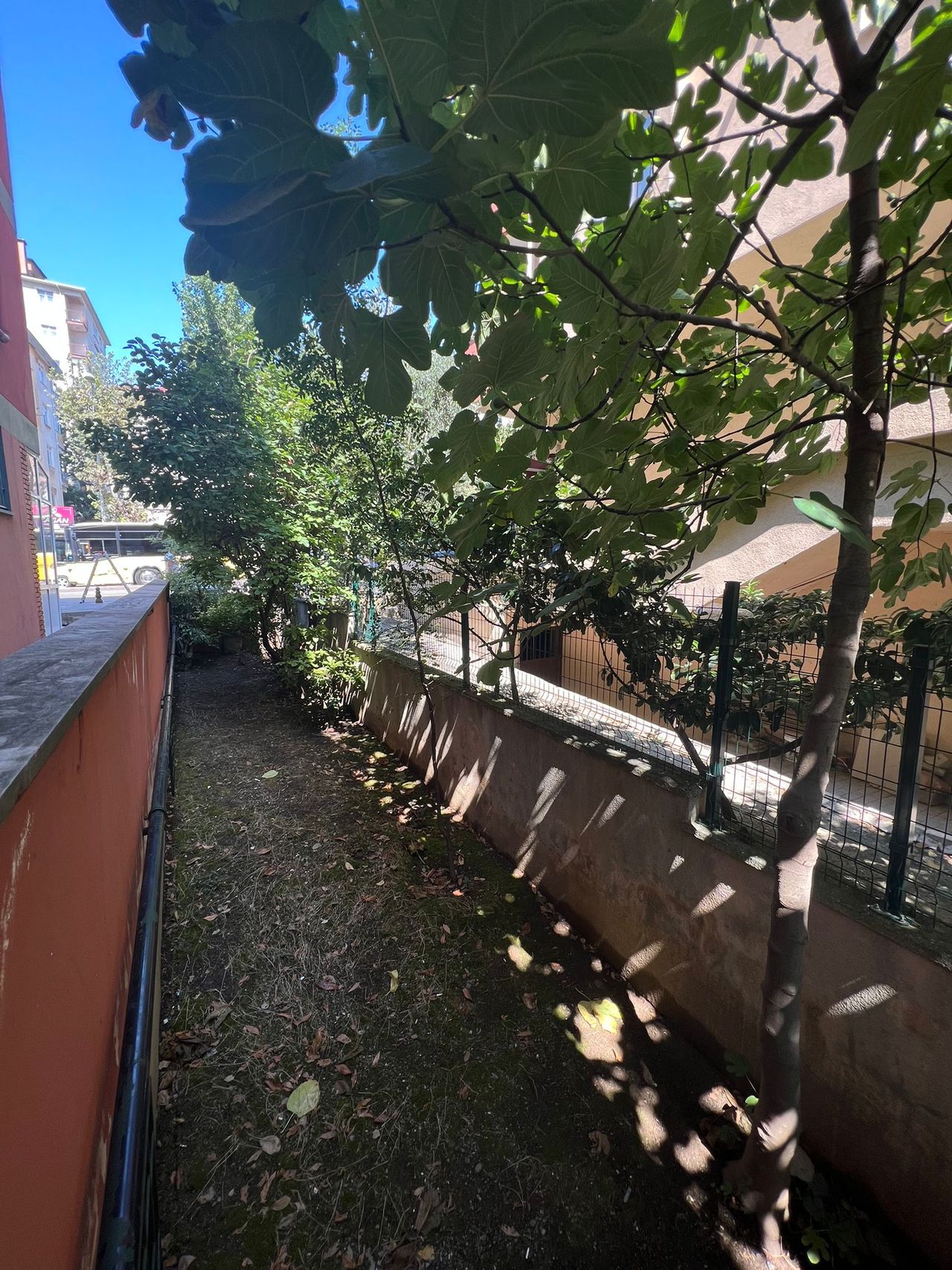 Sarah Merve Ahmad-20