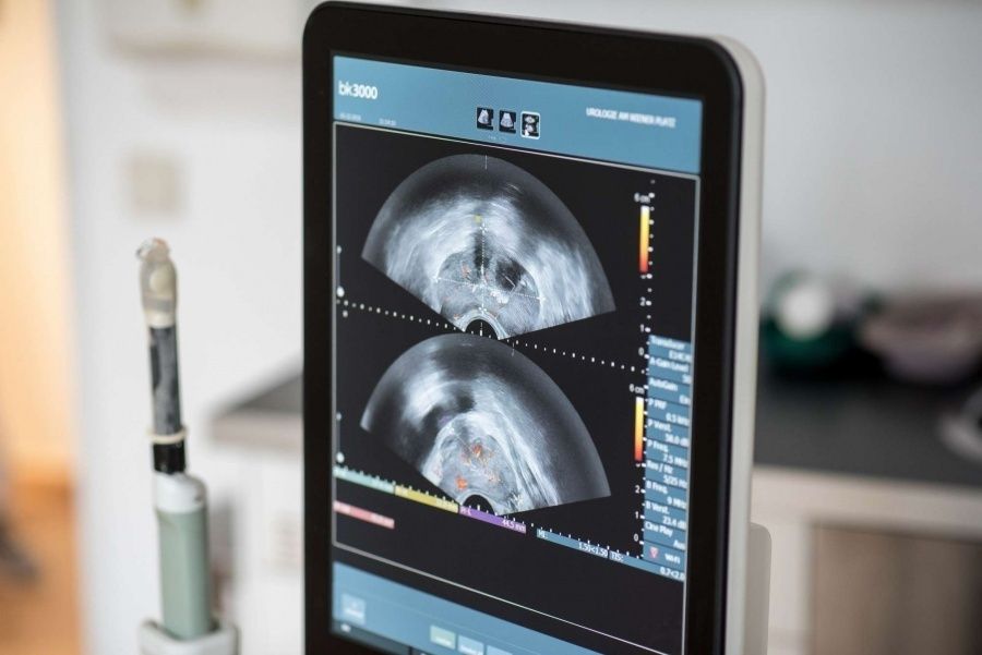 Birte-Swantje Schneevoigt-4