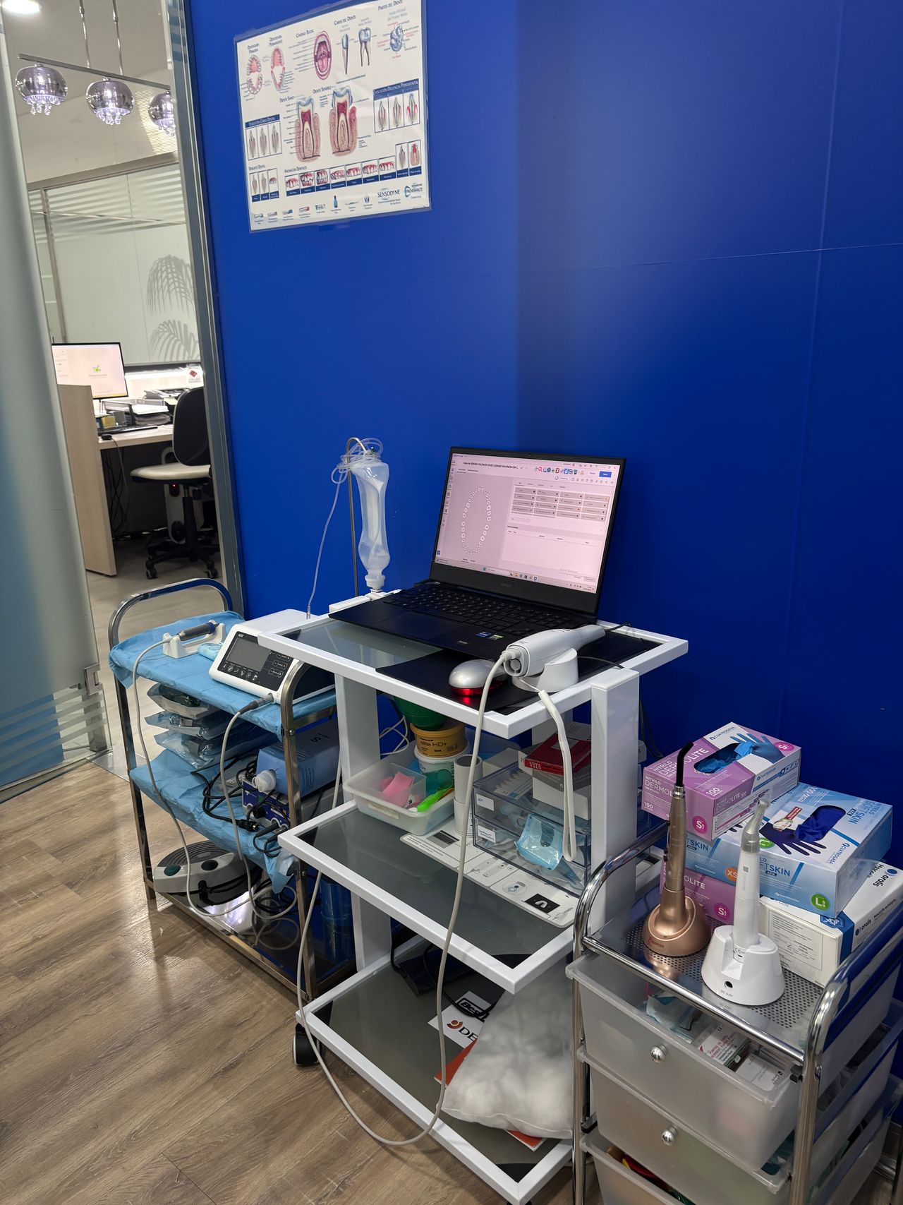 Alejandra Saez Garcia-1