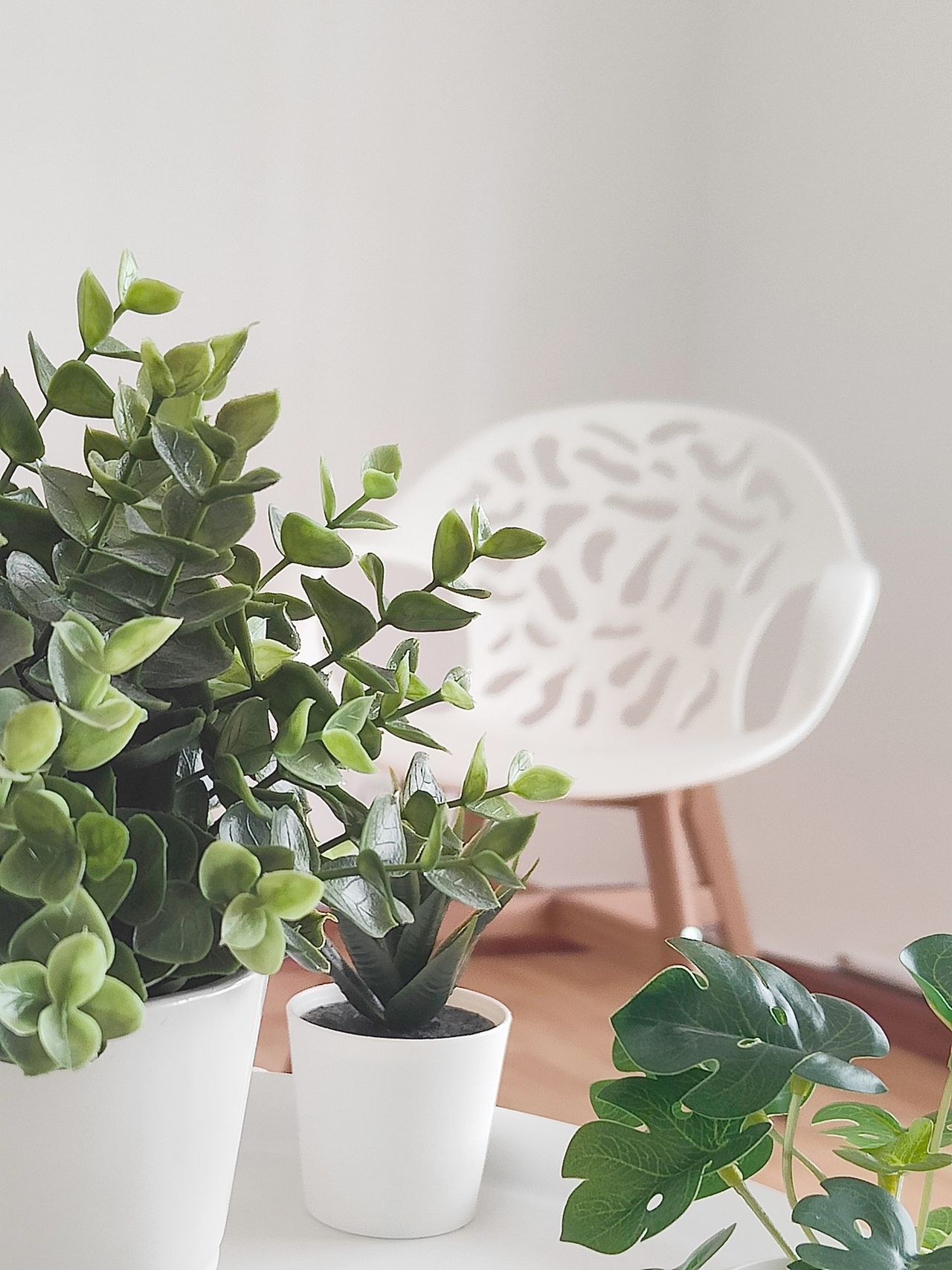 Claudia Fuente Correas-1