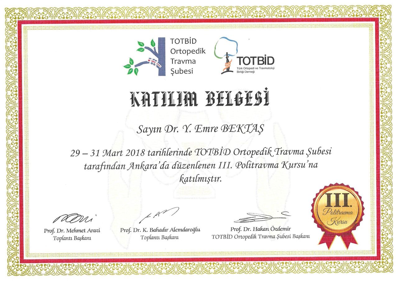 Yunus Emre Bektaş-0