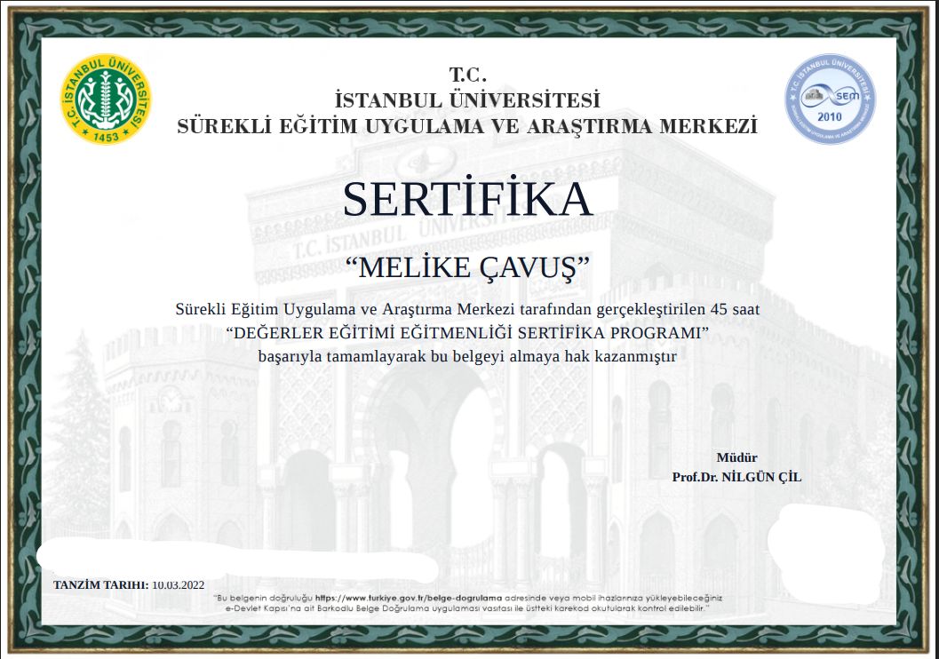 Melike Boylan-6