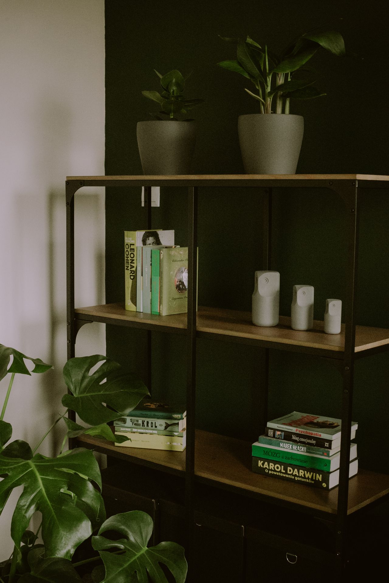 Weronika Szymańska-3