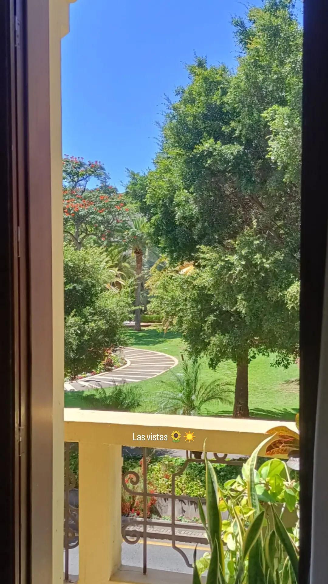 Patricia González Álvarez-3