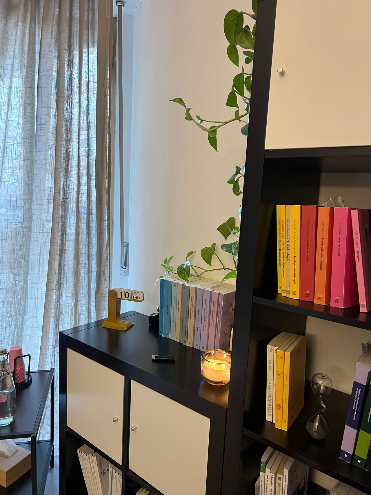 Silvia Teresa Caterino-6