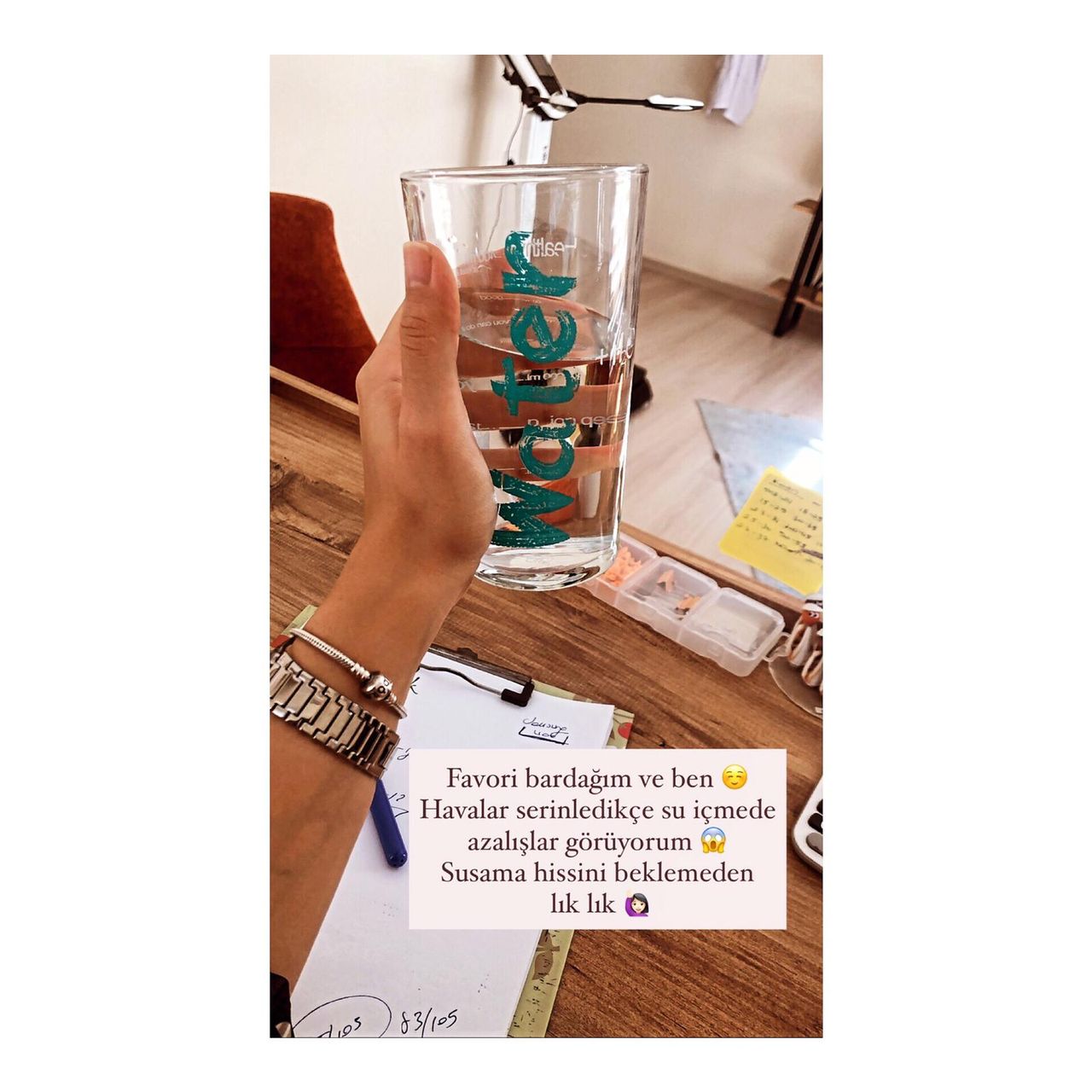 Özlem Guguk Alaca-5