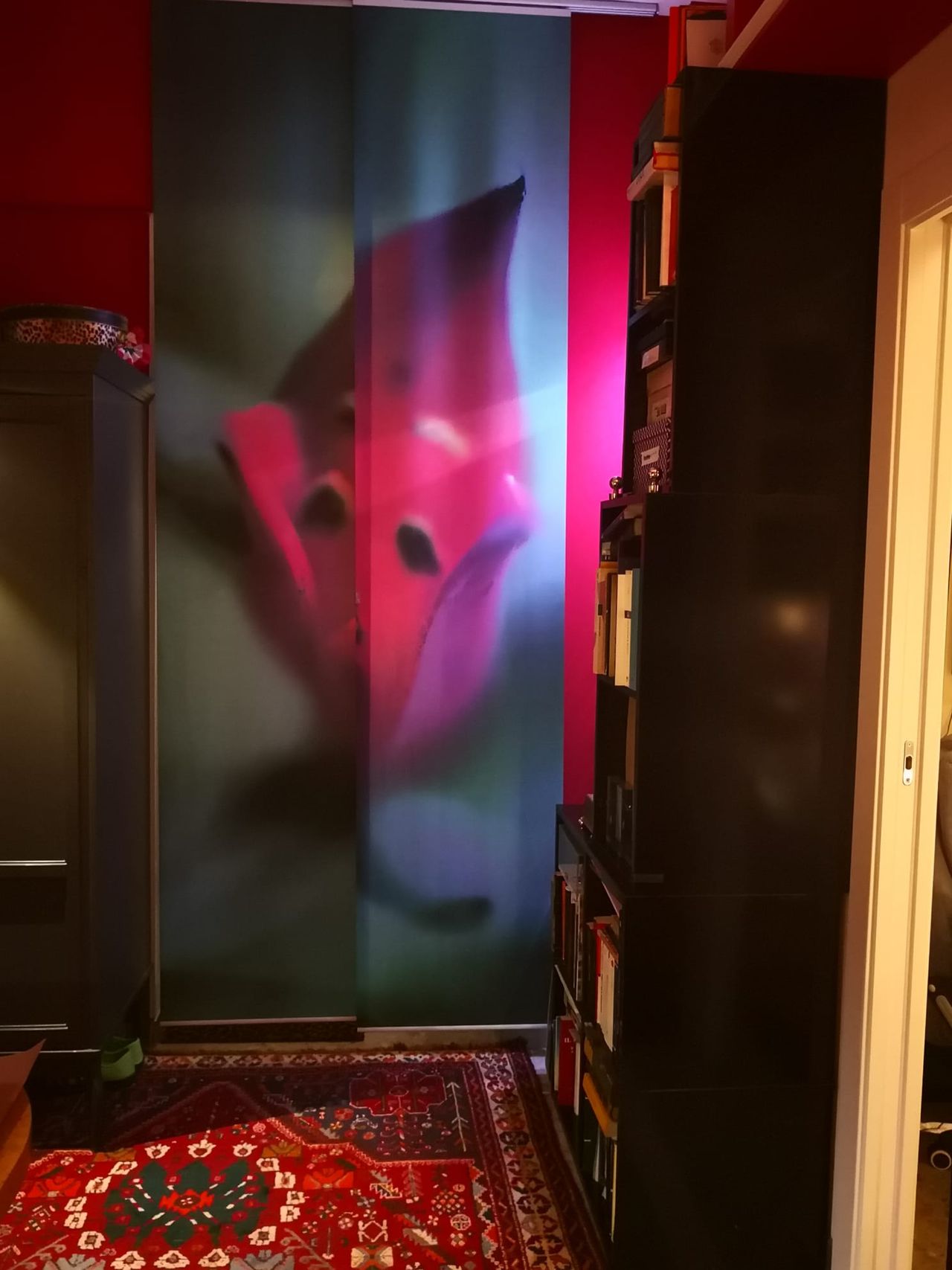 Maria Giusy Rosamondo-8