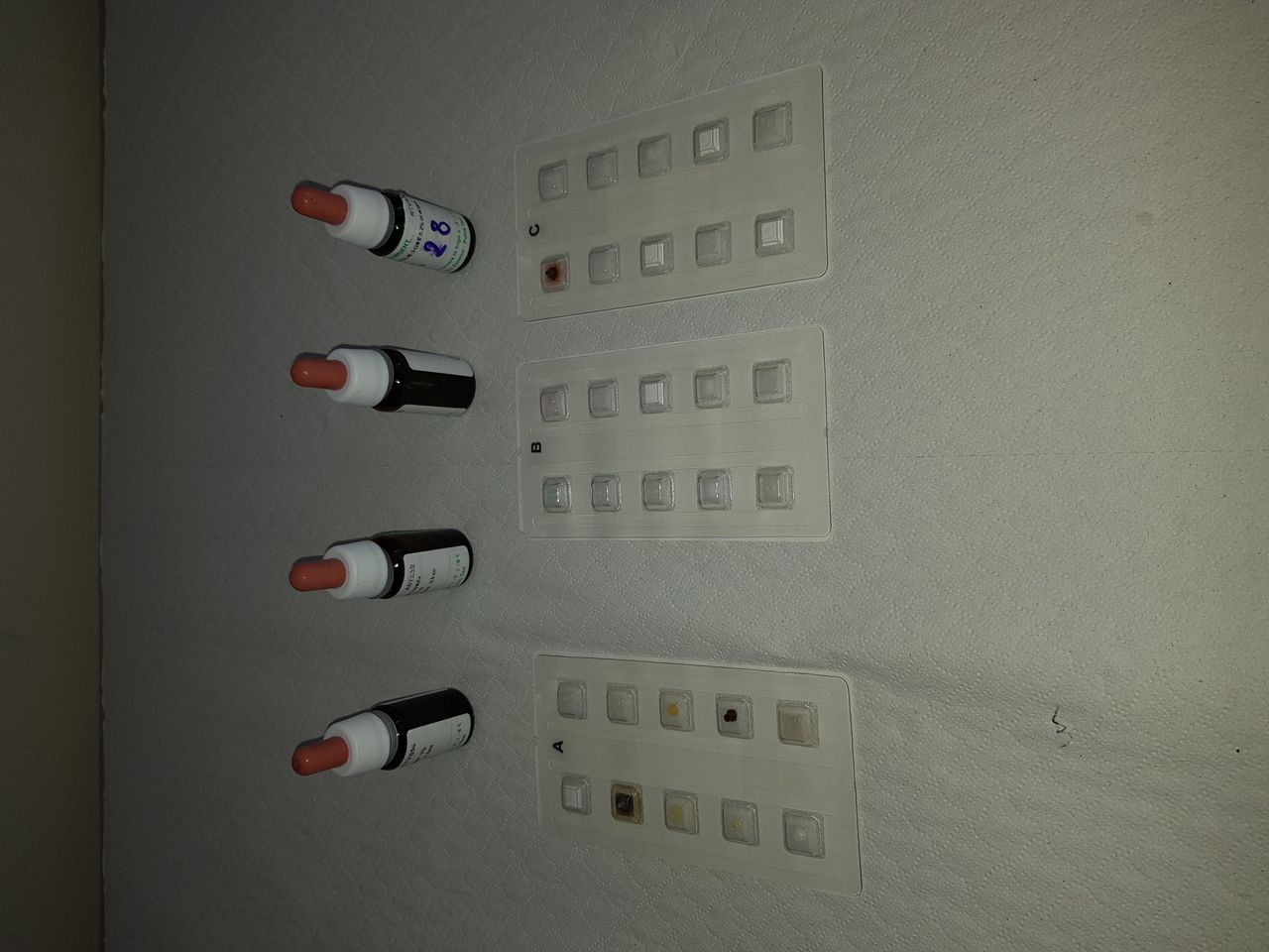 Raffaele Brancaccio-8