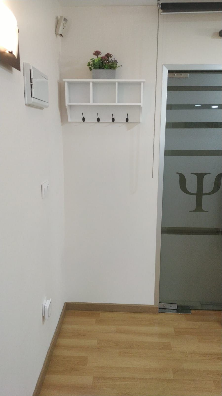 Félix Valderrama Díaz-6