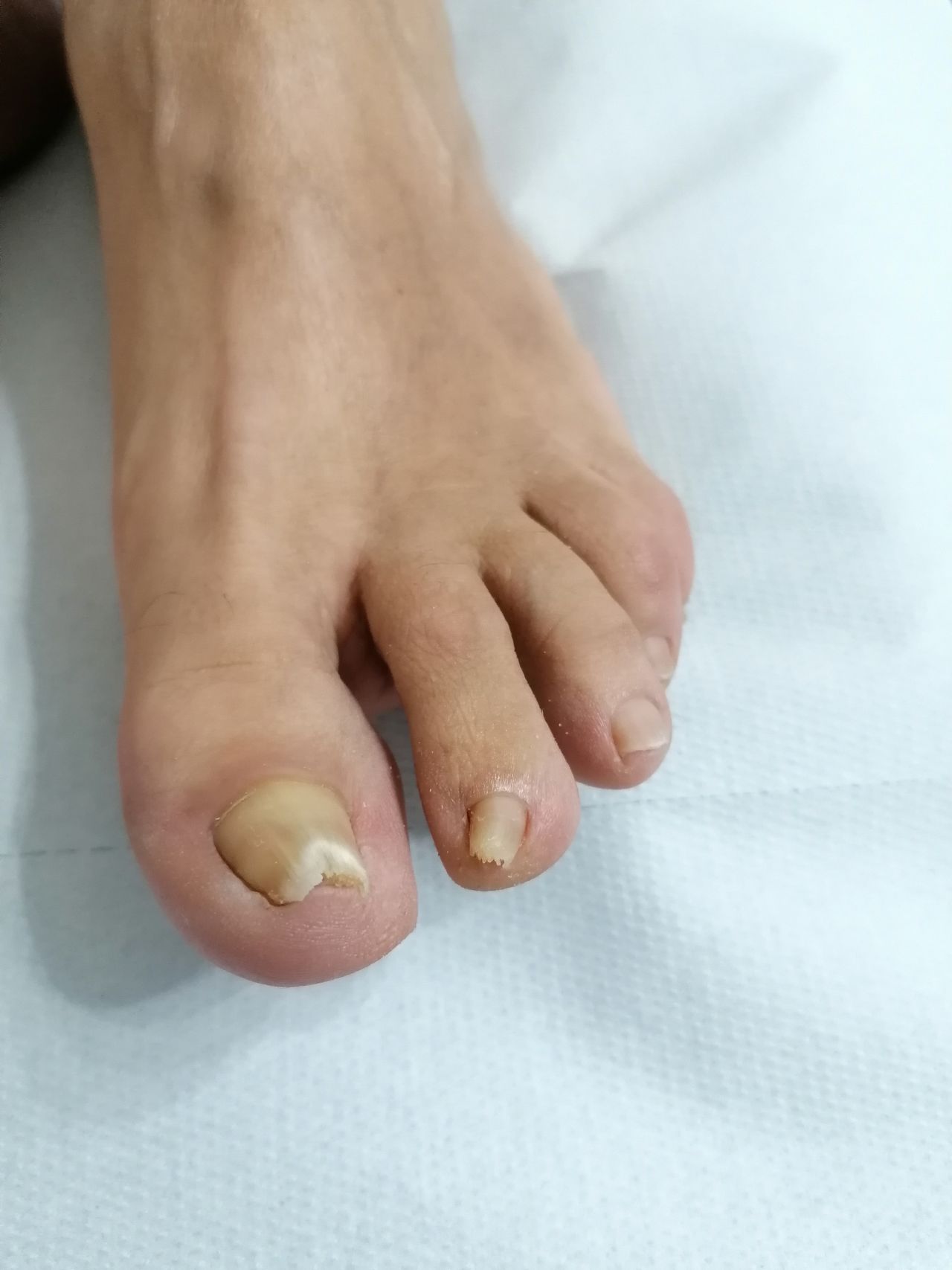 Kassandra Nicolosi-132