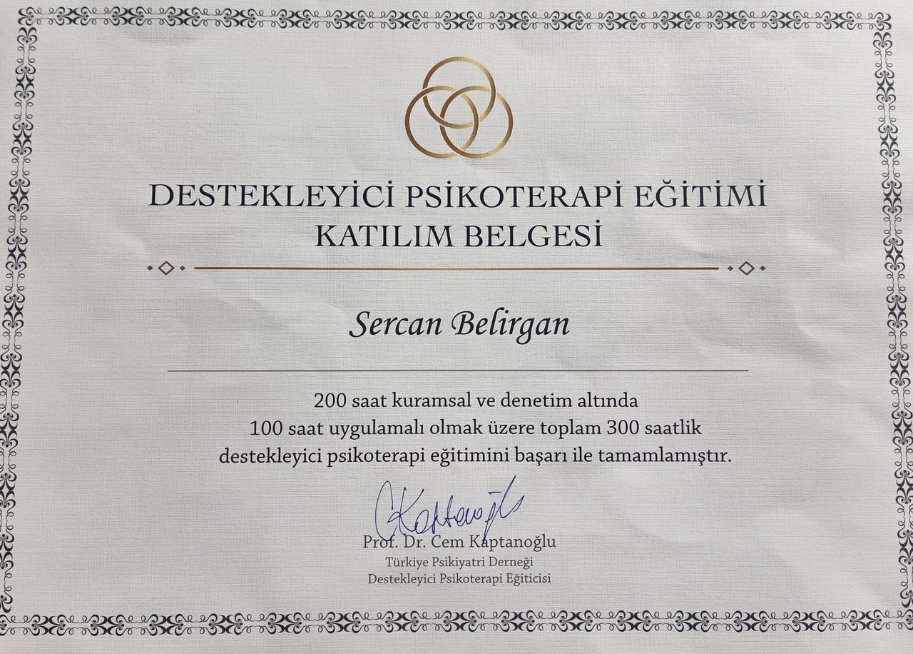 Sercan Belirgan-2