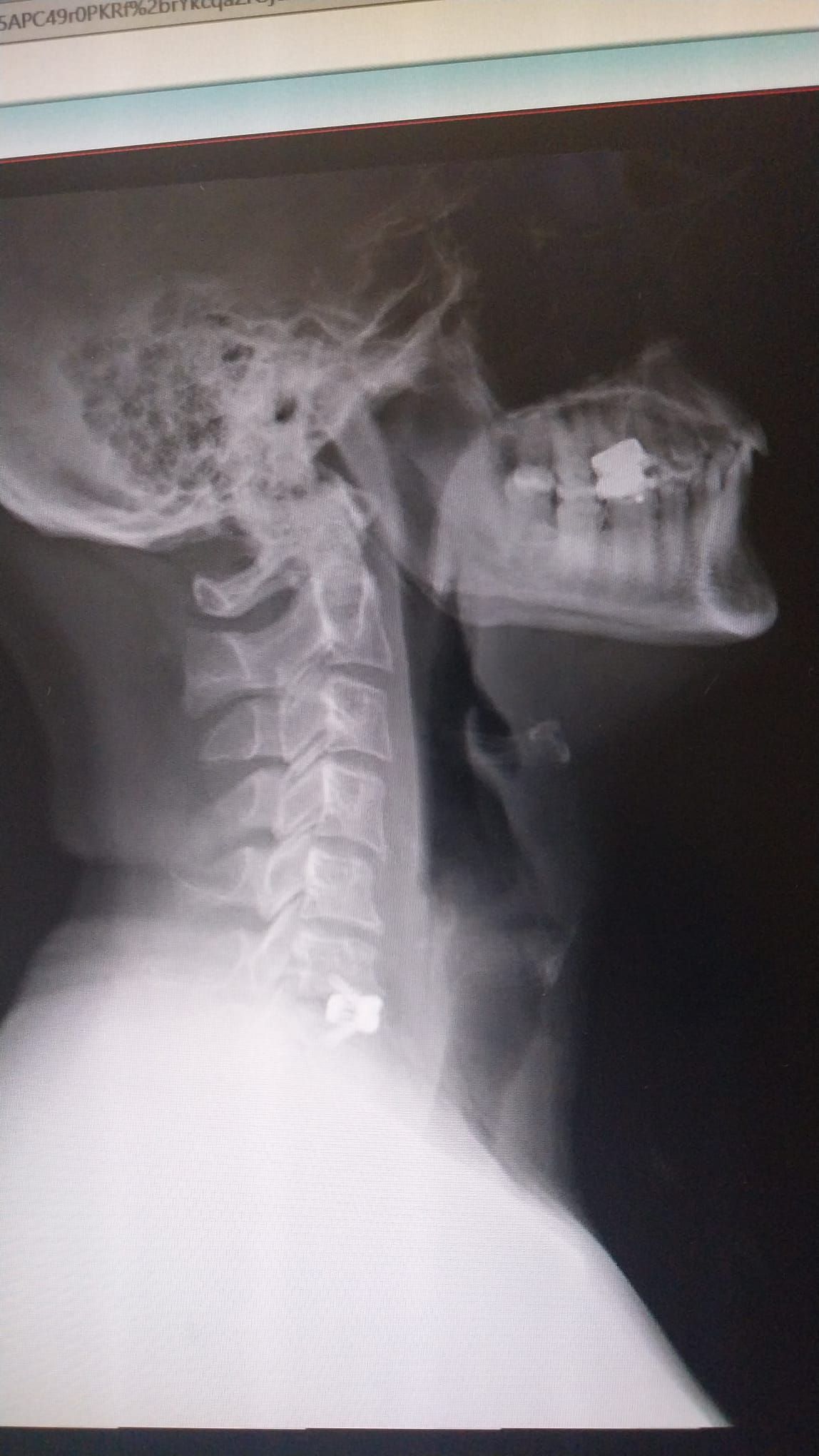 Alessandro Rapisarda-13