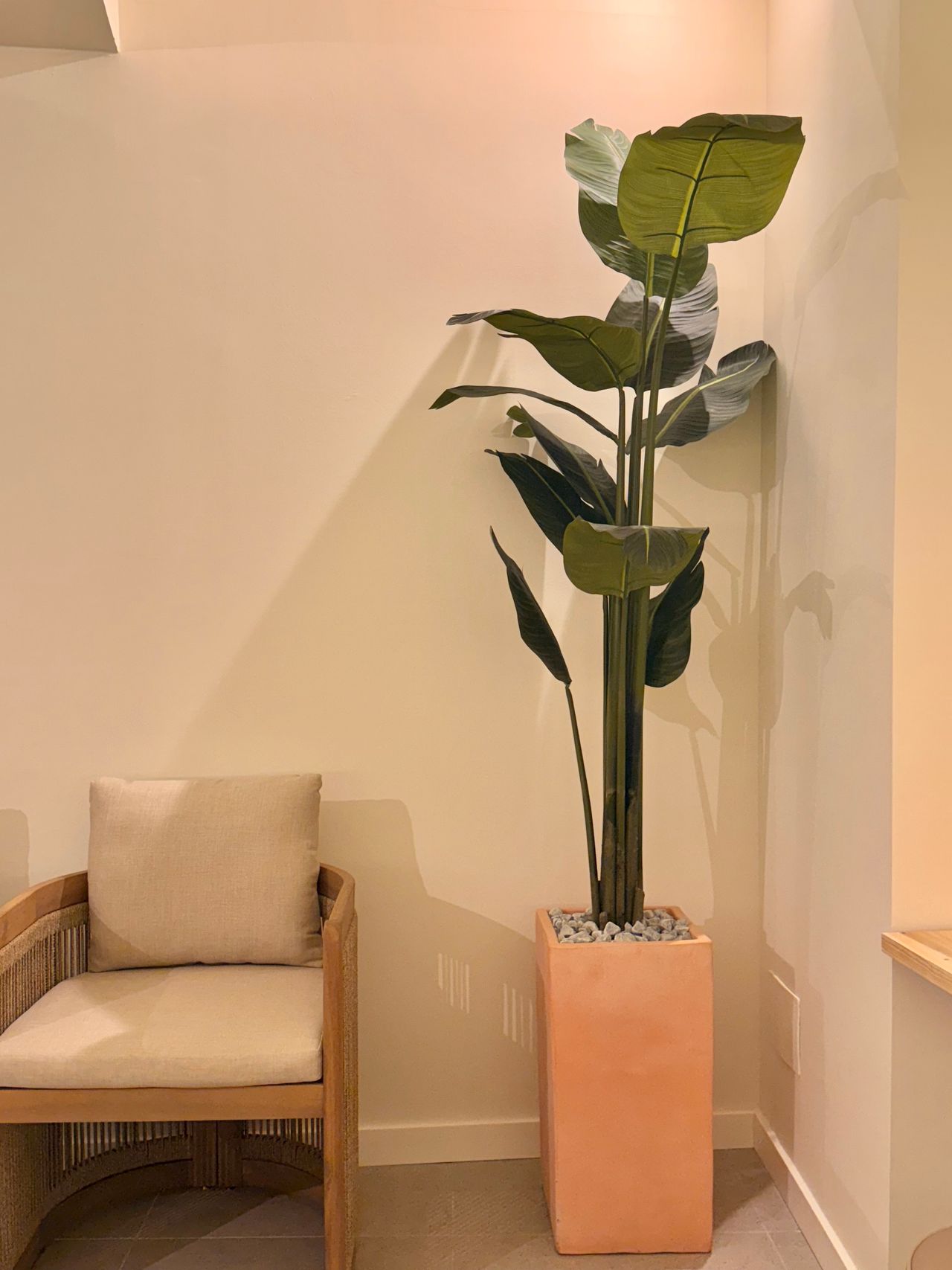 Alexandra Glink Lezana-8