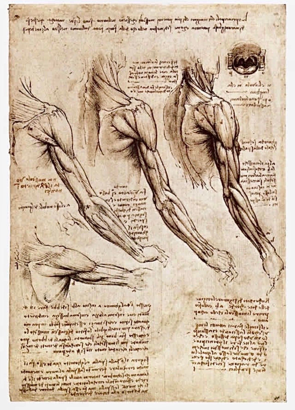 Daniele Passaretti-16