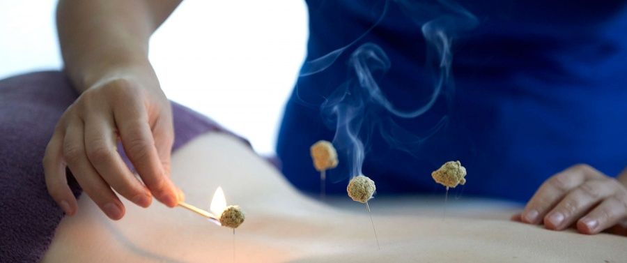 Ana Salgueiro Scerba-2