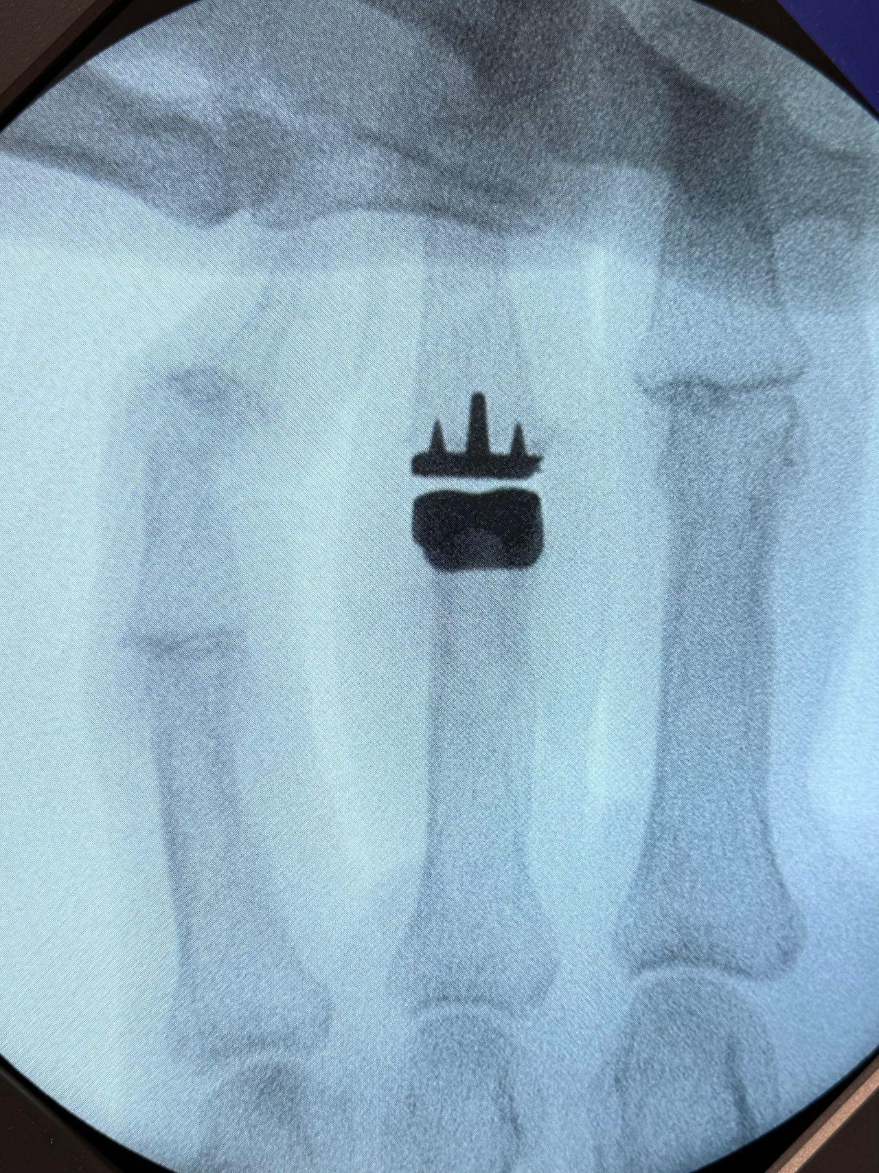 Jose Manuel Perez Alba-3