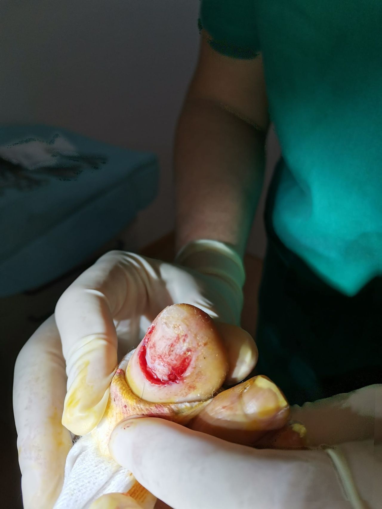 Luis Gandía Zapata-8