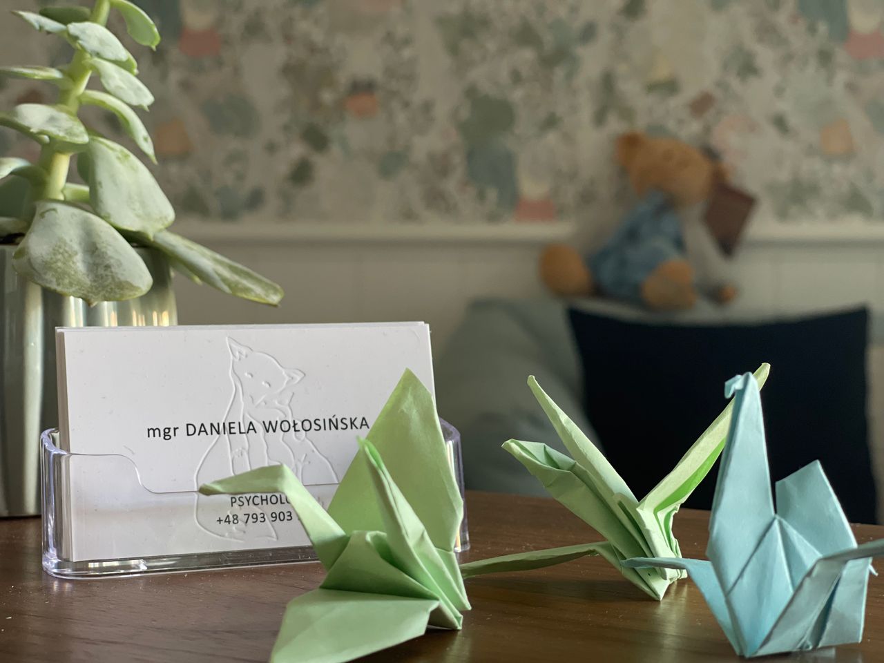 Daniela Wołosińska-2