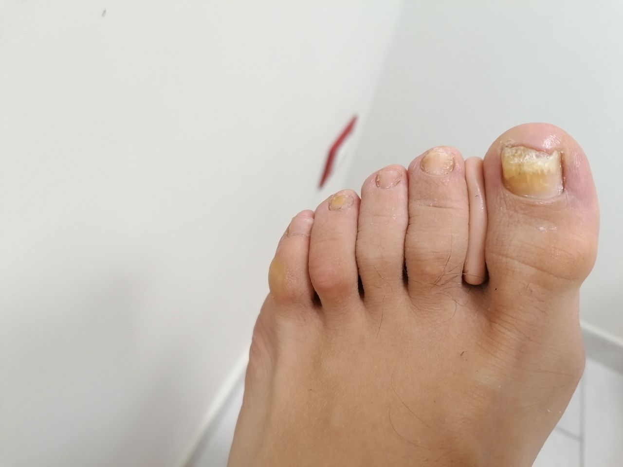 Kassandra Nicolosi-288