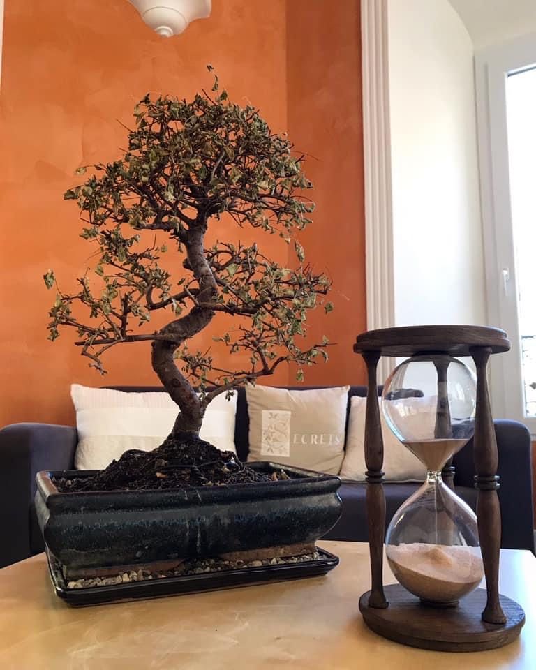 Alessandra Volpe Brinzaglia-1