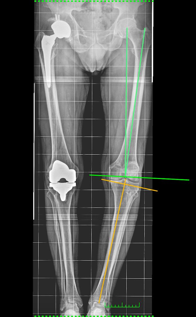 Daniele Passaretti-19