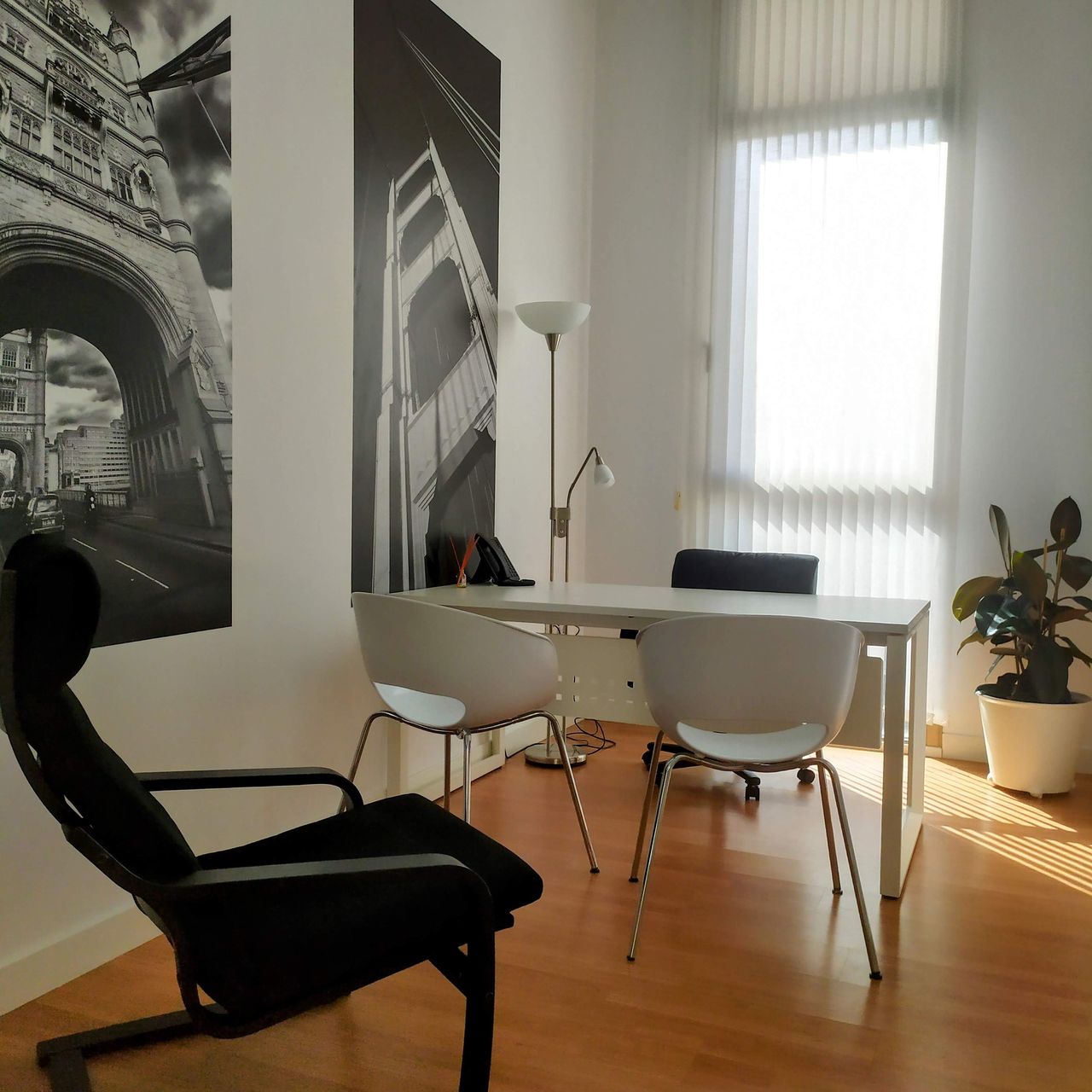 Maria Jose Novillo Infantes-2