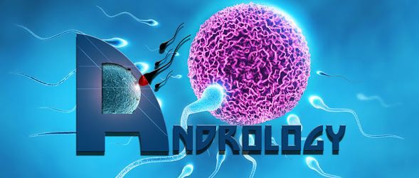 Carlos Alberto Muñoz Vera-2