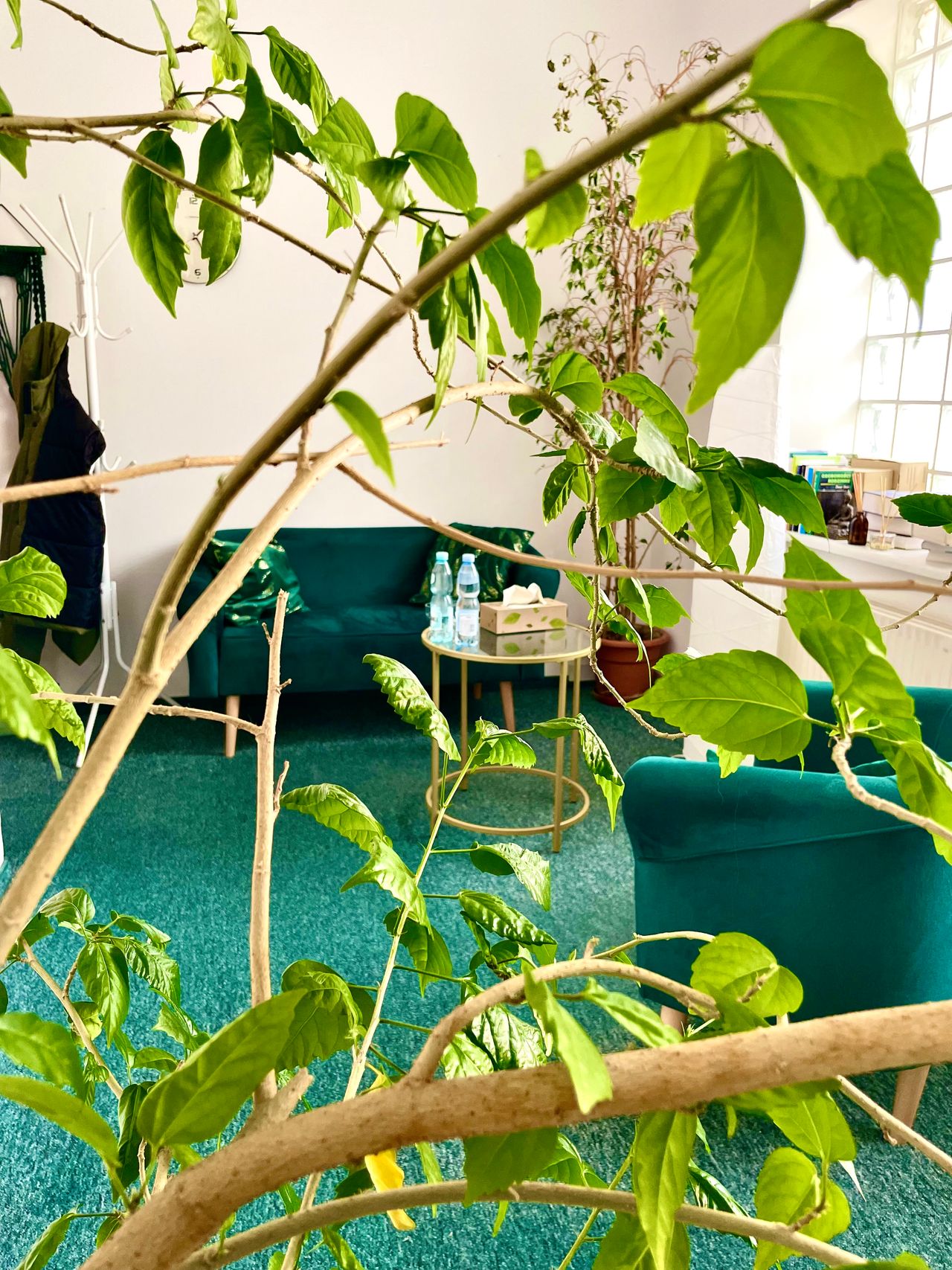 Zuzanna Butkiewicz-0